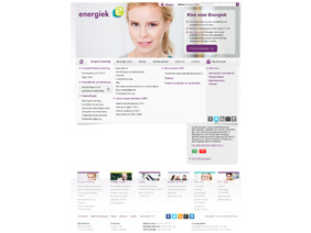 My Energiek - online application GUI